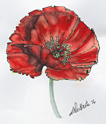 The Poppy